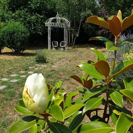 La Maison Des Thermes, Chambre D'Hote 桑特 外观 照片