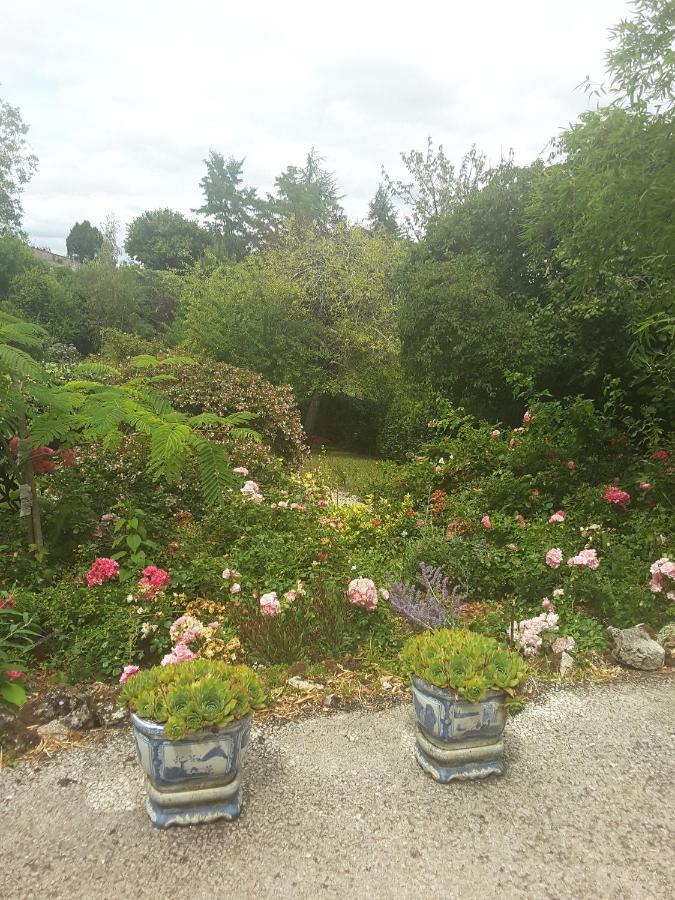 La Maison Des Thermes, Chambre D'Hote 桑特 外观 照片