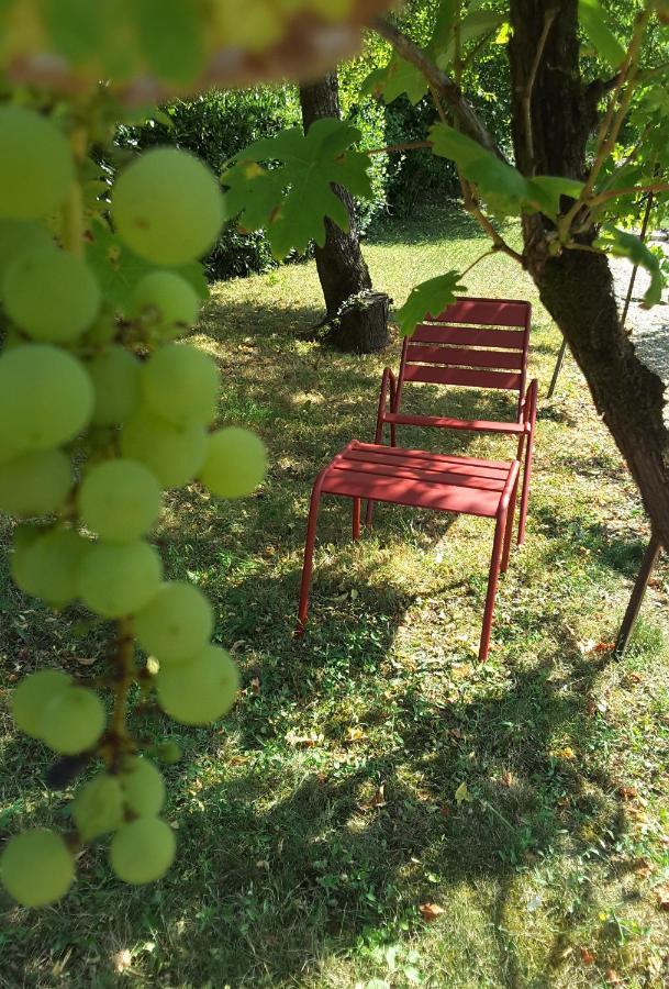 La Maison Des Thermes, Chambre D'Hote 桑特 外观 照片