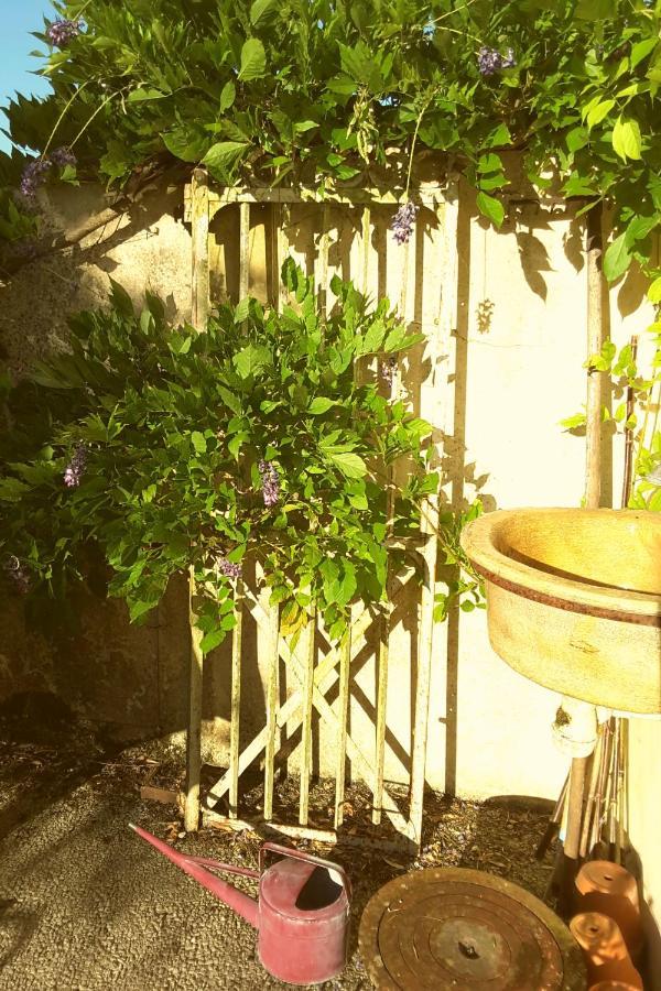 La Maison Des Thermes, Chambre D'Hote 桑特 外观 照片