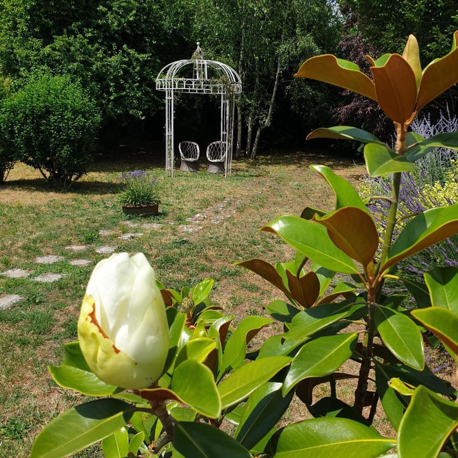 La Maison Des Thermes, Chambre D'Hote 桑特 外观 照片